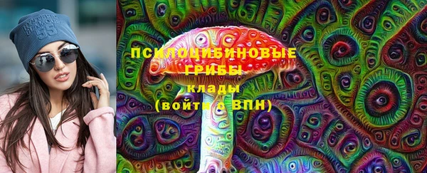 a pvp Аркадак